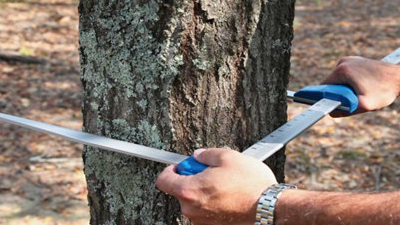 蓝色树木测径仪